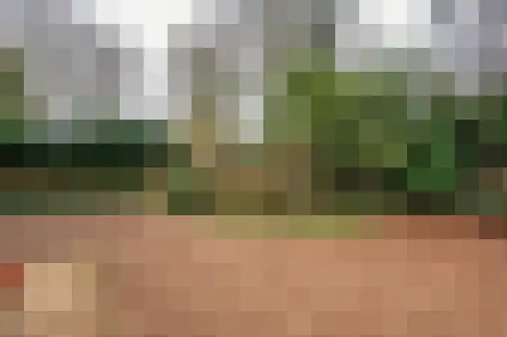 Meuleveldlaan 18 Venlo thumbnail 41