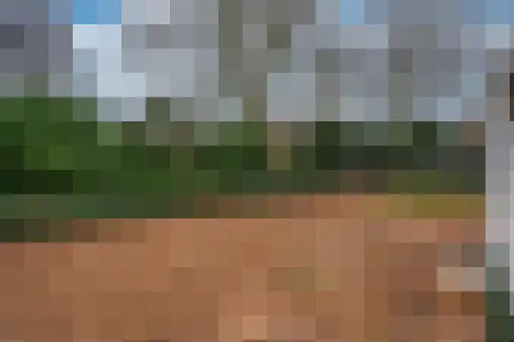 Meuleveldlaan 18 Venlo thumbnail 42
