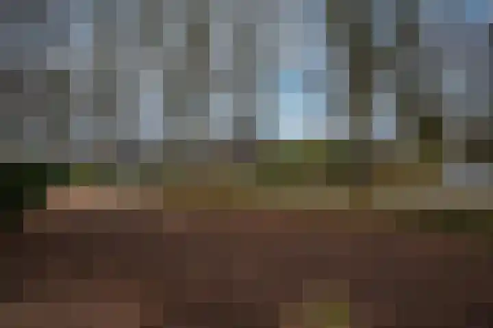 Meuleveldlaan 18 Venlo thumbnail 46