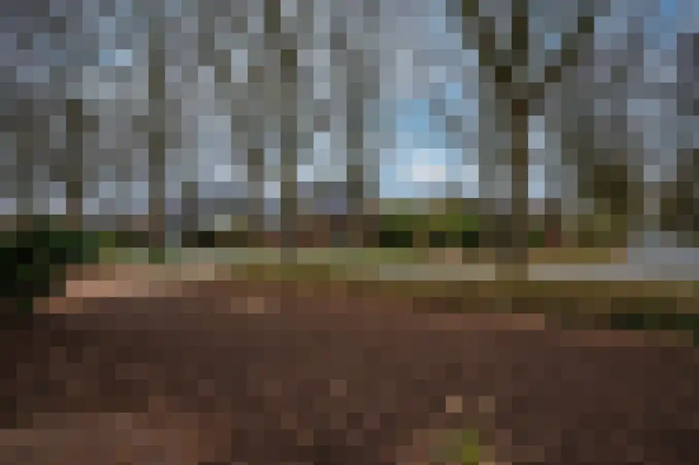 Meuleveldlaan 18 Venlo thumbnail 46