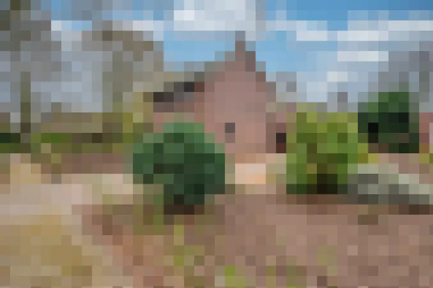 Meuleveldlaan 18 Venlo thumbnail 51