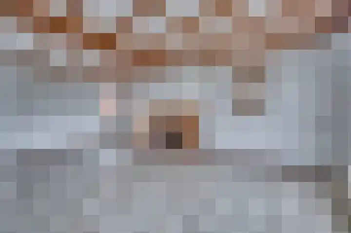 Meuleveldlaan 18 Venlo thumbnail 8
