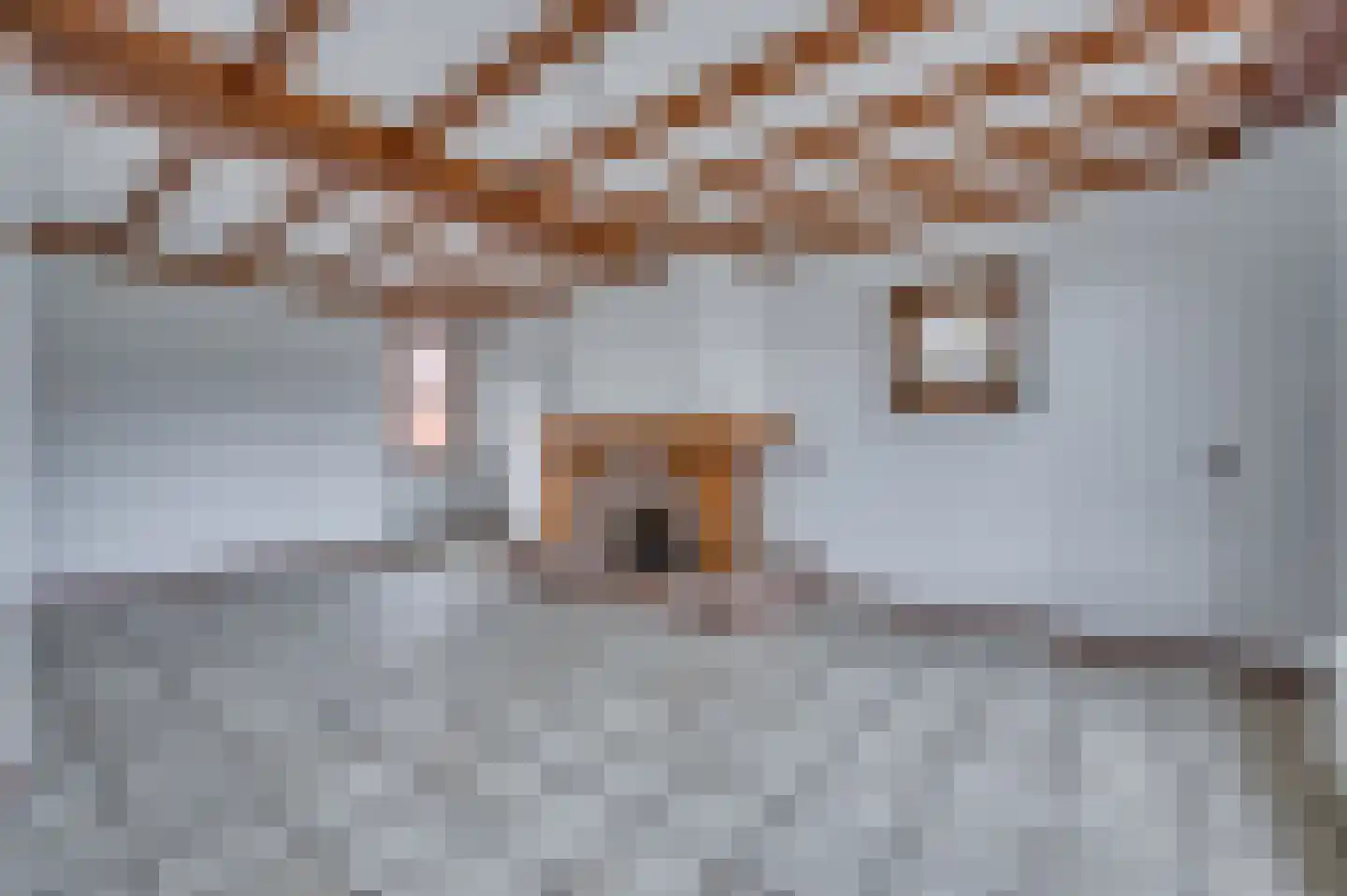 Meuleveldlaan 18 Venlo thumbnail 8