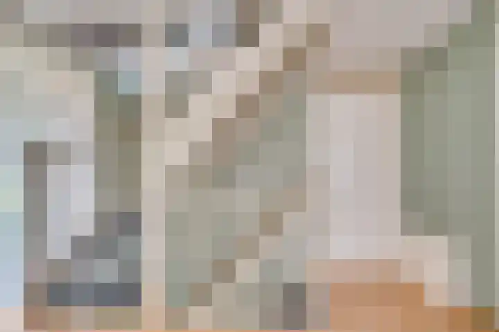 Meuleveldlaan 2 Venlo thumbnail 16