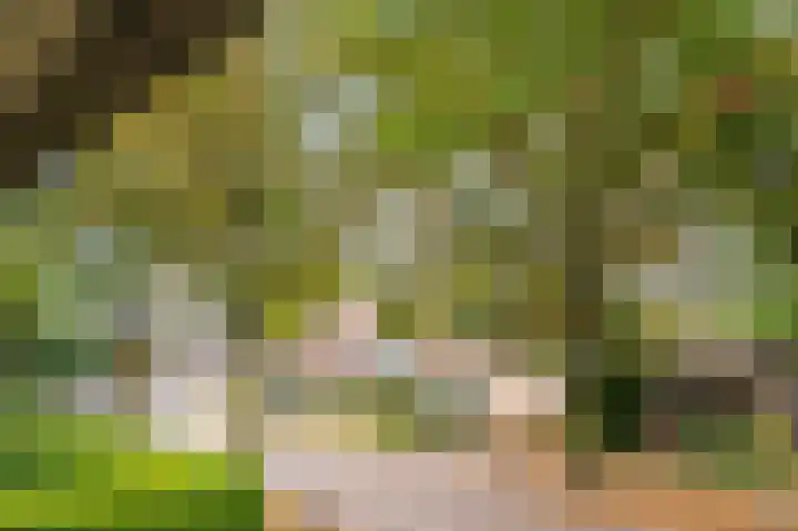 Meuleveldlaan 2 Venlo thumbnail 22