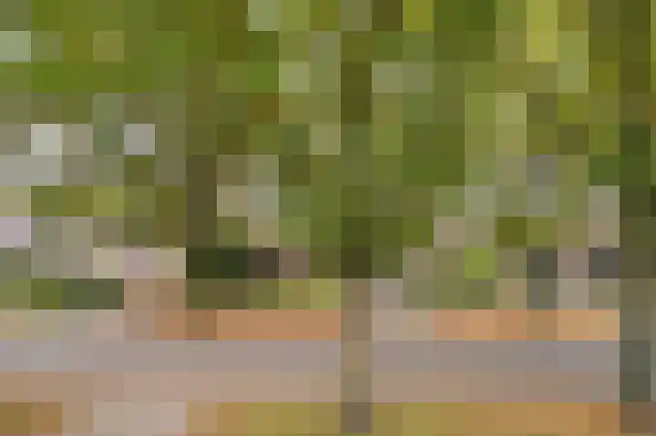 Meuleveldlaan 2 Venlo thumbnail 23