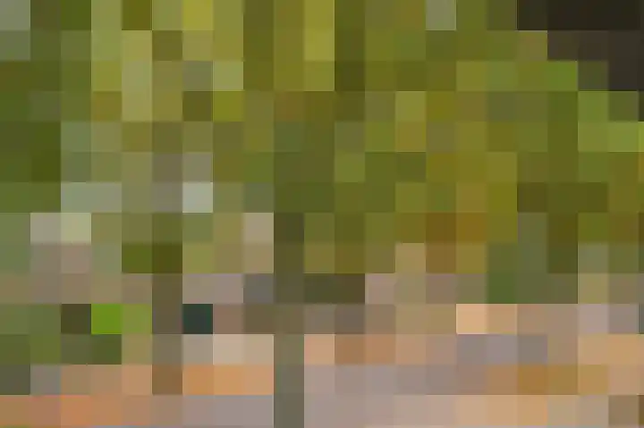 Meuleveldlaan 2 Venlo thumbnail 24