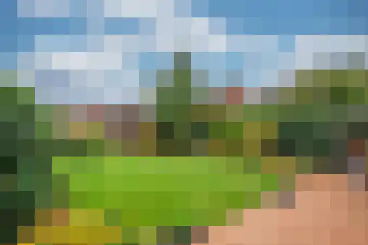 Meuleveldlaan 2 Venlo thumbnail 41