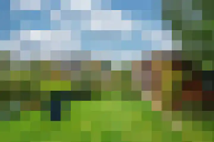 Meuleveldlaan 2 Venlo thumbnail 43