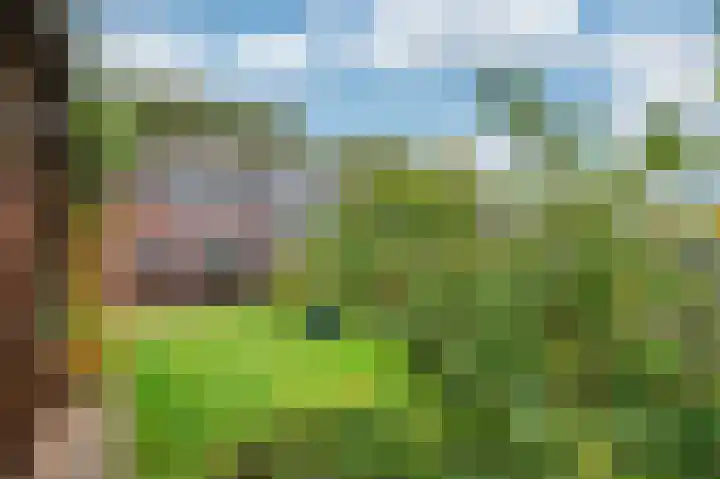 Meuleveldlaan 2 Venlo thumbnail 44
