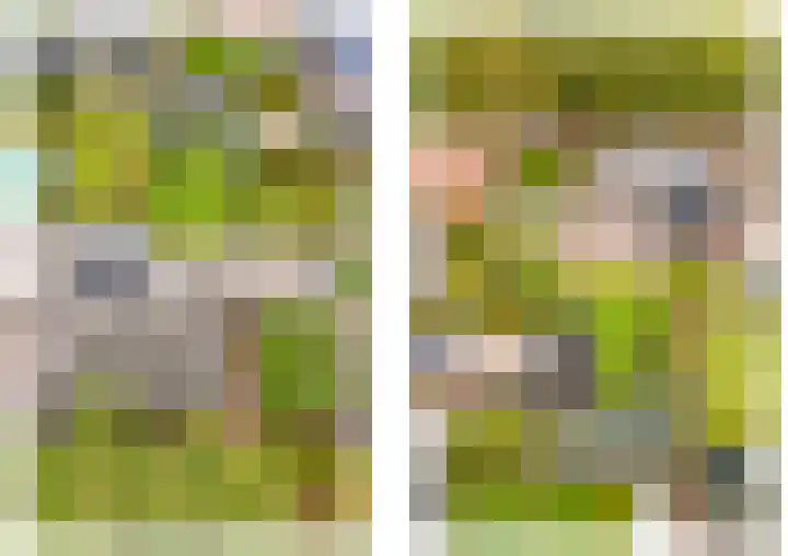 Meuleveldlaan 2 Venlo thumbnail 47