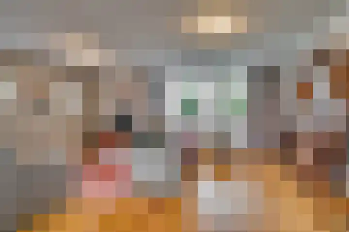 Meuleveldlaan 2 Venlo thumbnail 6