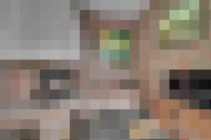 Meuleveldlaan 39 Venlo thumbnail 11
