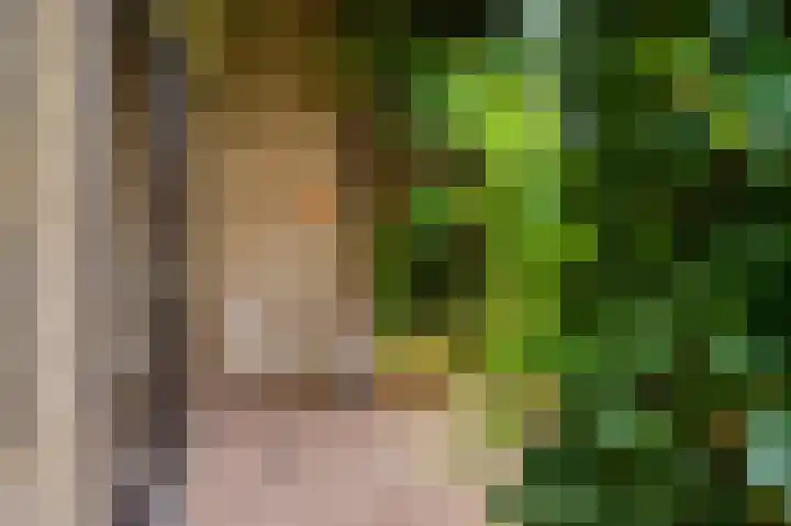 Meuleveldlaan 39 Venlo thumbnail 31
