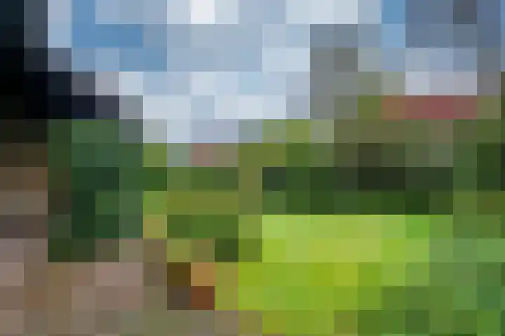 Meuleveldlaan 39 Venlo thumbnail 32