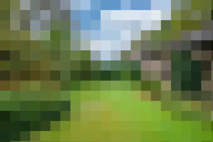 Meuleveldlaan 39 Venlo thumbnail 33