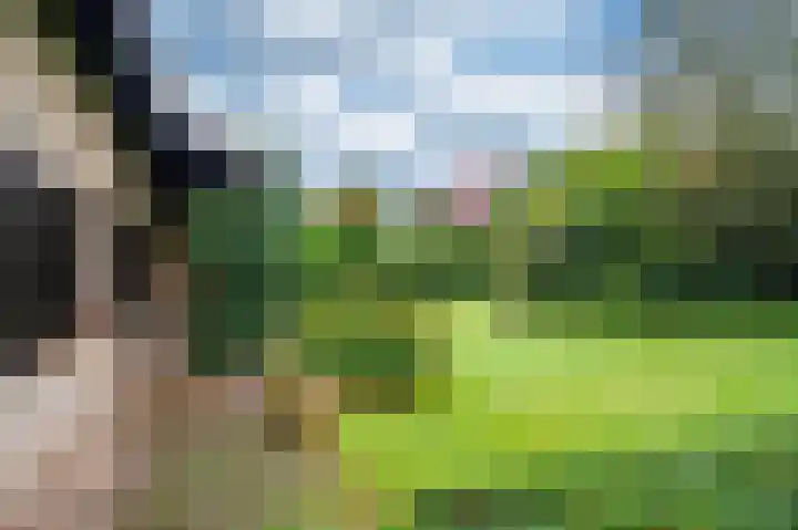 Meuleveldlaan 39 Venlo thumbnail 34