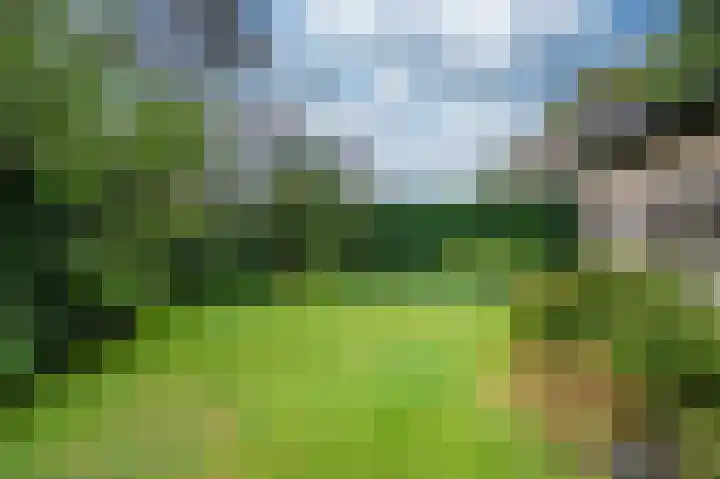Meuleveldlaan 39 Venlo thumbnail 35