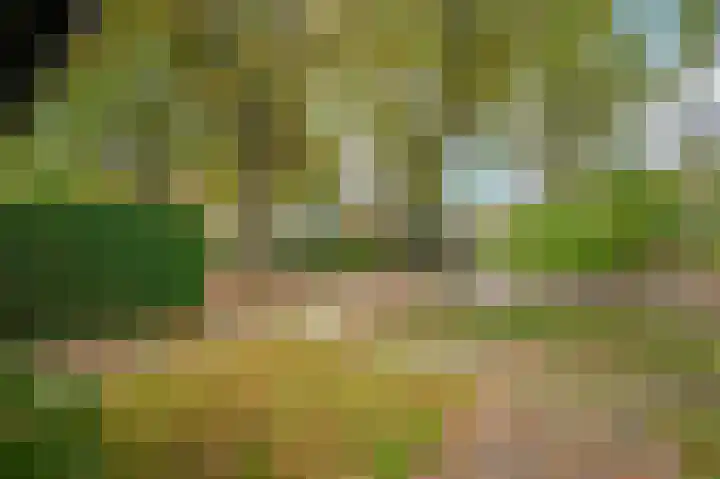Meuleveldlaan 39 Venlo thumbnail 36