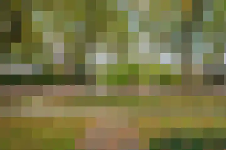 Meuleveldlaan 39 Venlo thumbnail 37
