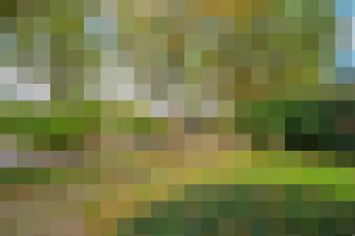 Meuleveldlaan 39 Venlo thumbnail 38