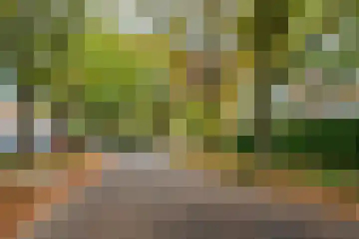 Meuleveldlaan 39 Venlo thumbnail 41