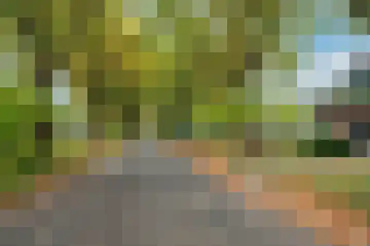 Meuleveldlaan 39 Venlo thumbnail 42