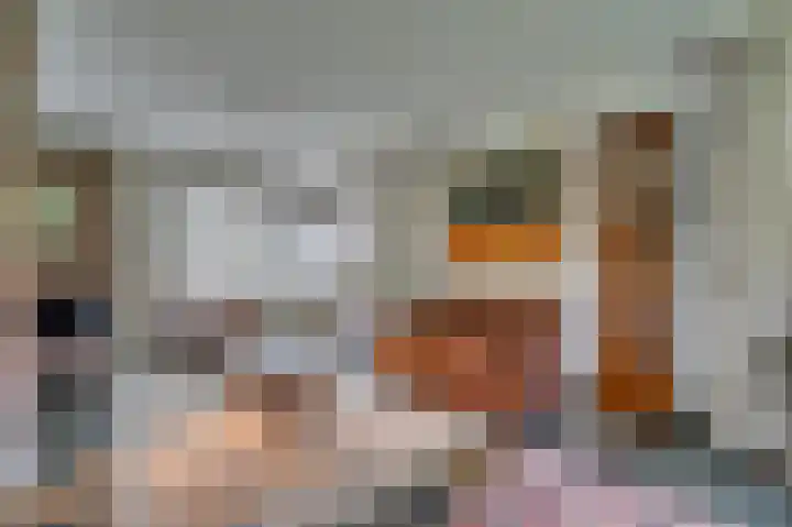 Meuleveldlaan 39 Venlo thumbnail 9