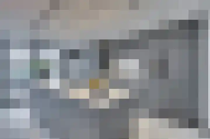 Meuleveldlaan 6 Venlo thumbnail 16