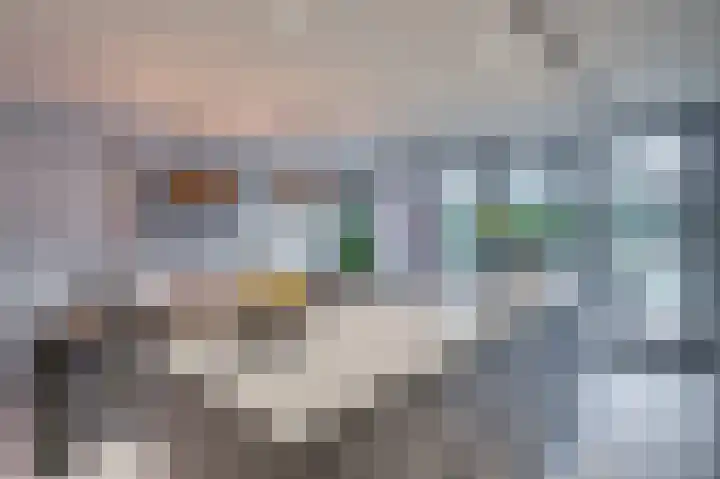 Meuleveldlaan 6 Venlo thumbnail 22