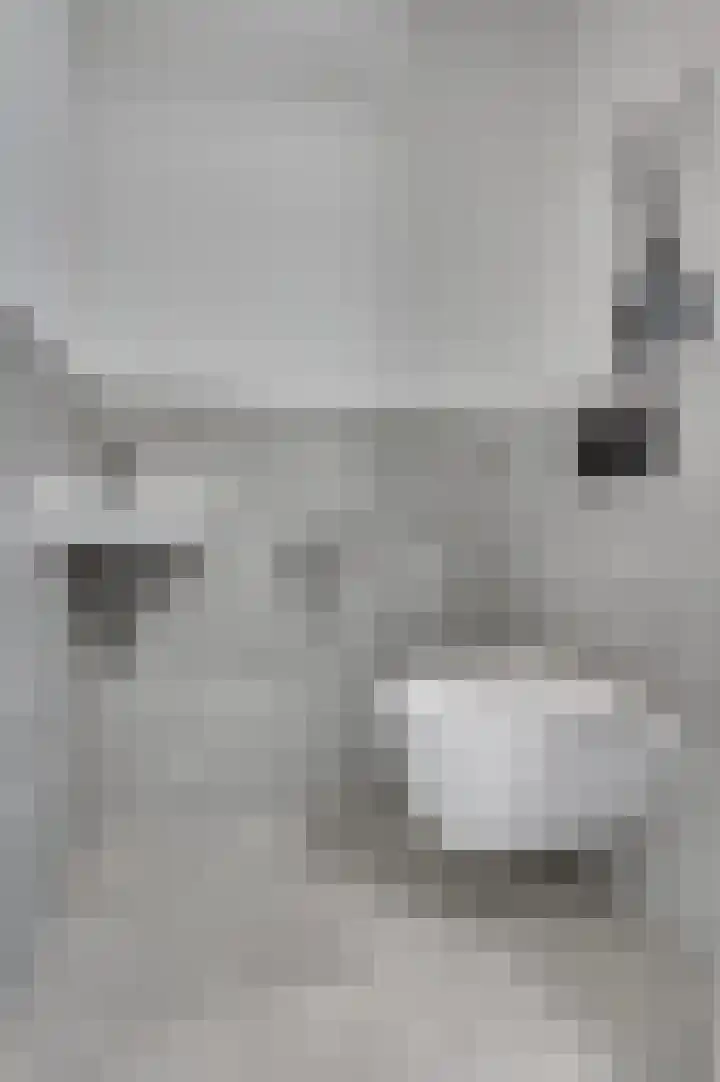 Meuleveldlaan 6 Venlo thumbnail 7