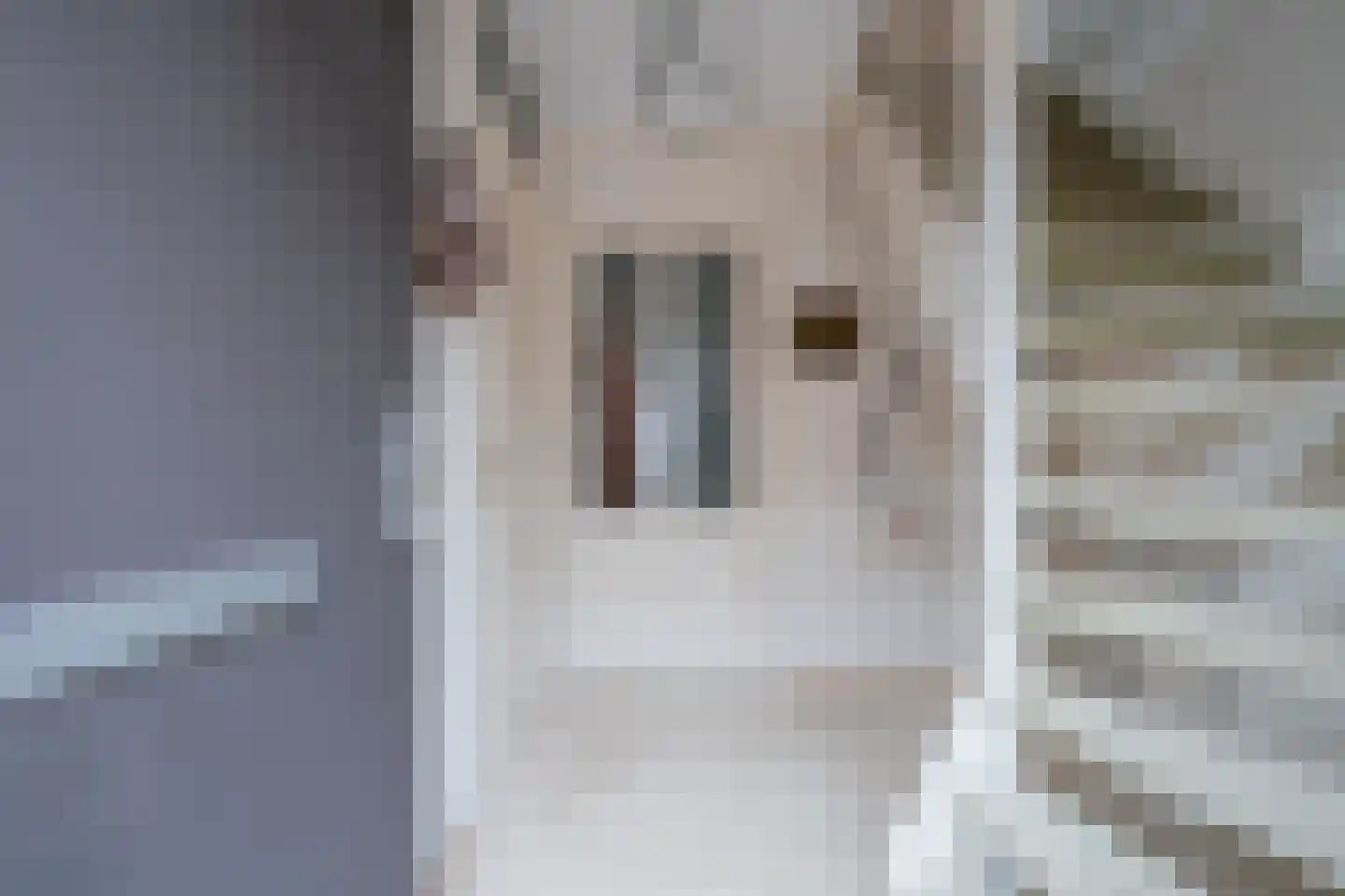 Meuleveldlaan 8 Venlo thumbnail 21