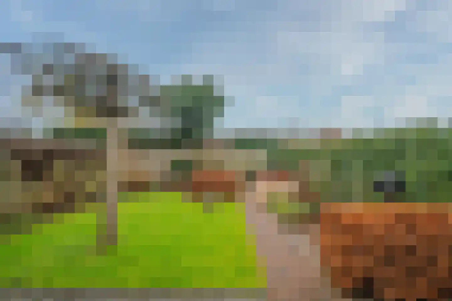 Meuleveldlaan 8 Venlo thumbnail 41