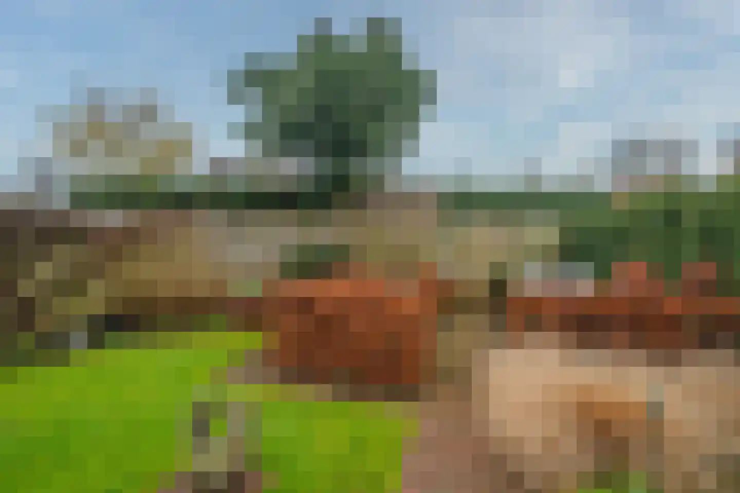 Meuleveldlaan 8 Venlo thumbnail 42