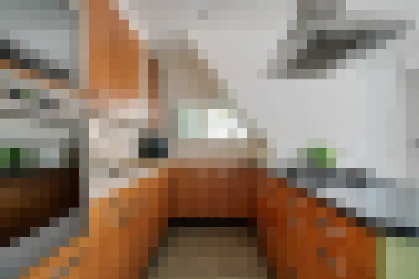 Meuleveldweg 13 Oosterwolde thumbnail 11