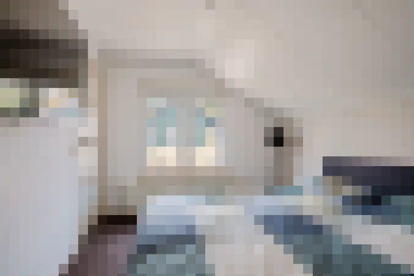 Meuleveldweg 13 Oosterwolde thumbnail 18