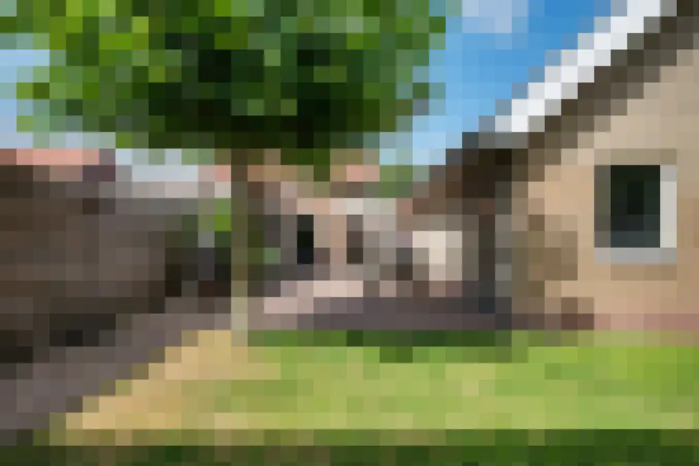 Meuleveldweg 13 Oosterwolde thumbnail 25