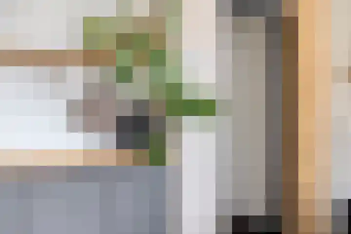 Meuleveldweg 15 Oosterwolde thumbnail 10