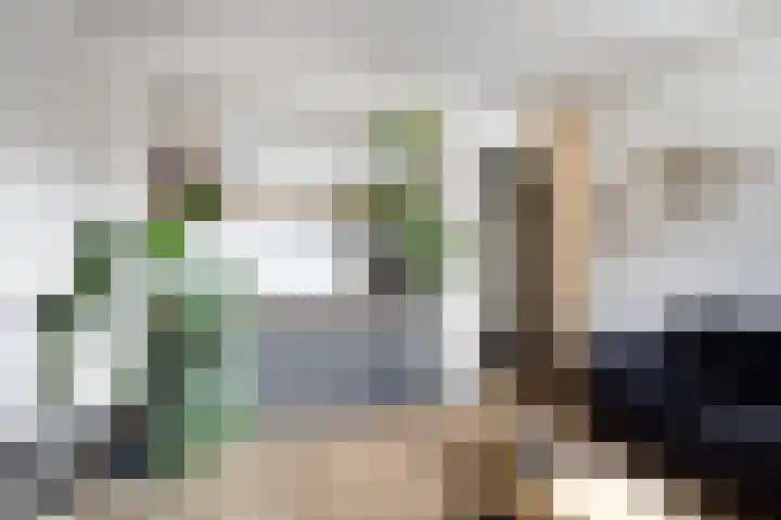 Meuleveldweg 15 Oosterwolde thumbnail 11