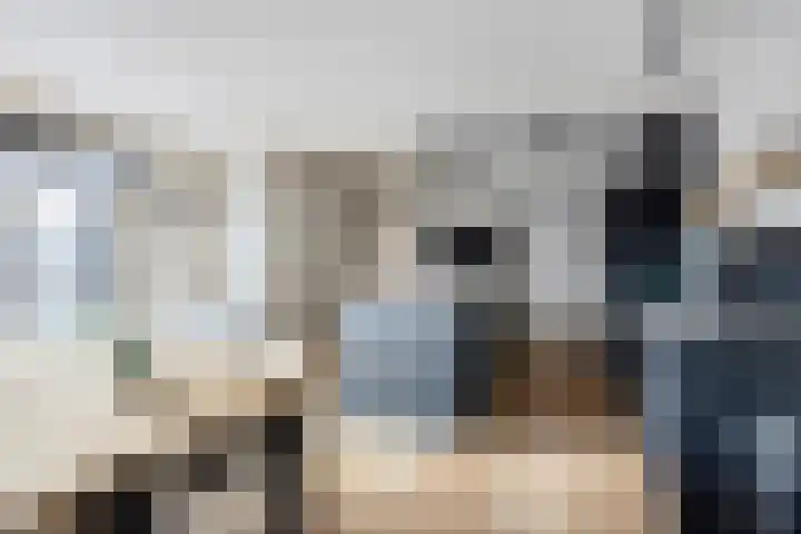 Meuleveldweg 15 Oosterwolde thumbnail 16