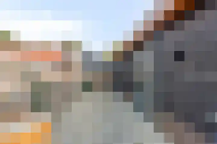 Meuleveldweg 15 Oosterwolde thumbnail 36