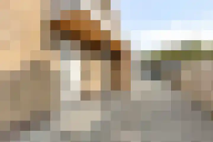 Meuleveldweg 15 Oosterwolde thumbnail 5