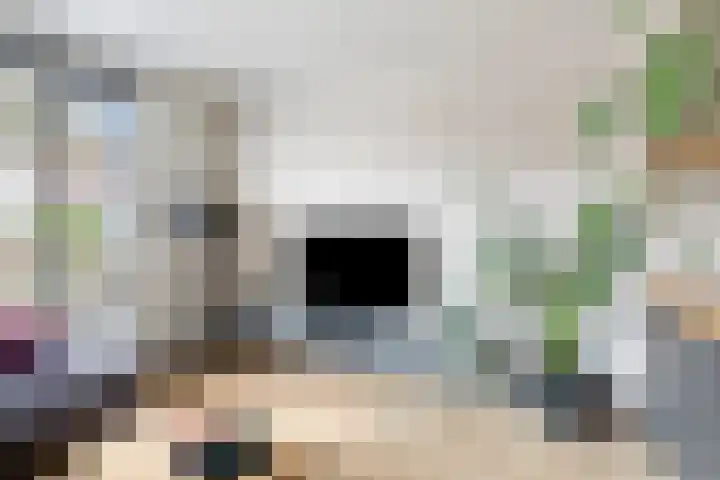 Meuleveldweg 15 Oosterwolde thumbnail 9