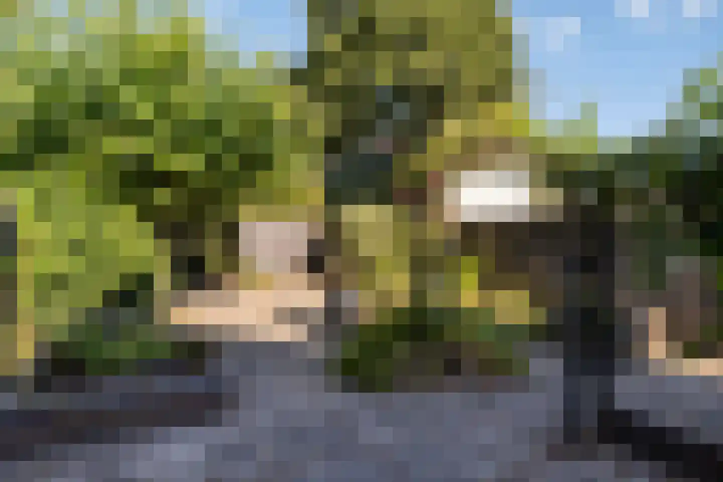 Meuleveldweg 8 Oosterwolde thumbnail 24