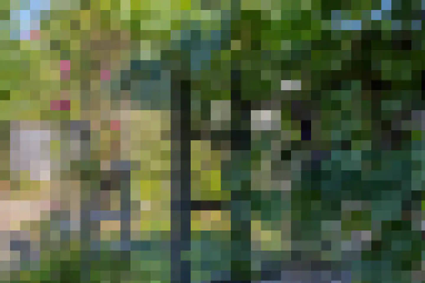 Meuleveldweg 8 Oosterwolde thumbnail 25