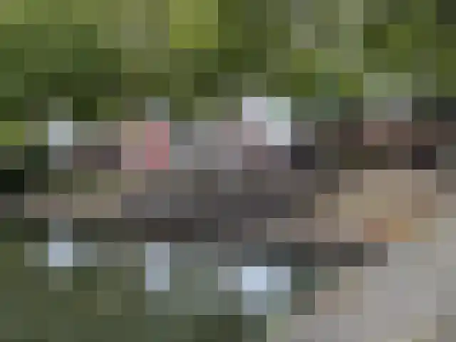 Meulmansweg 1 C Woerden thumbnail 22