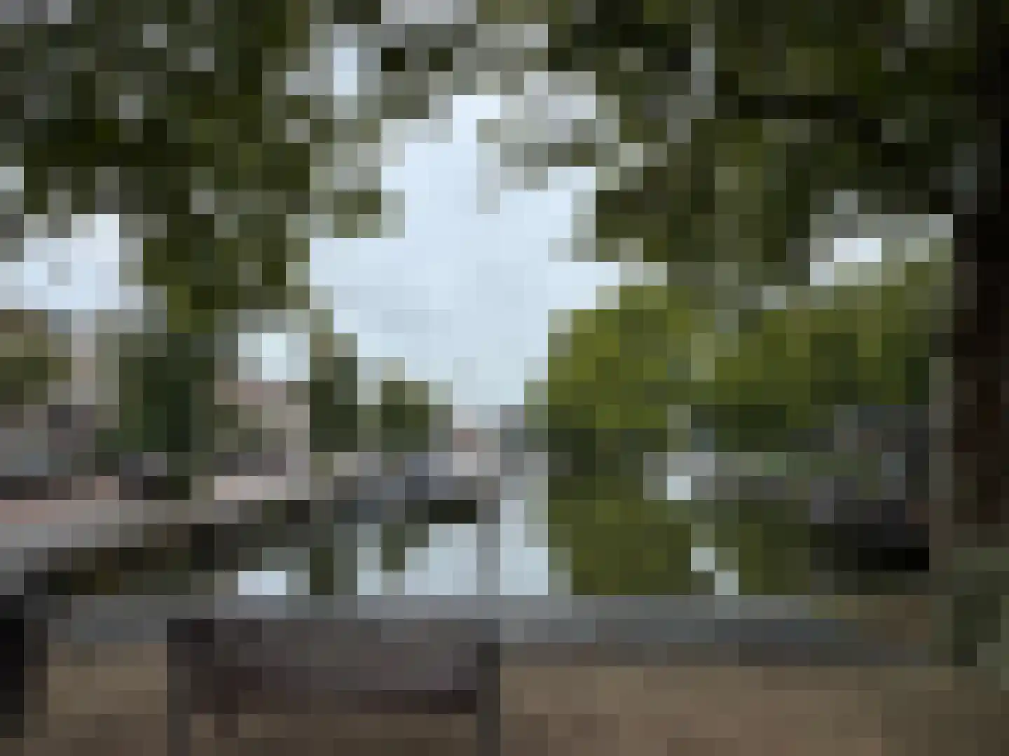 Meulmansweg 1 C Woerden thumbnail 24