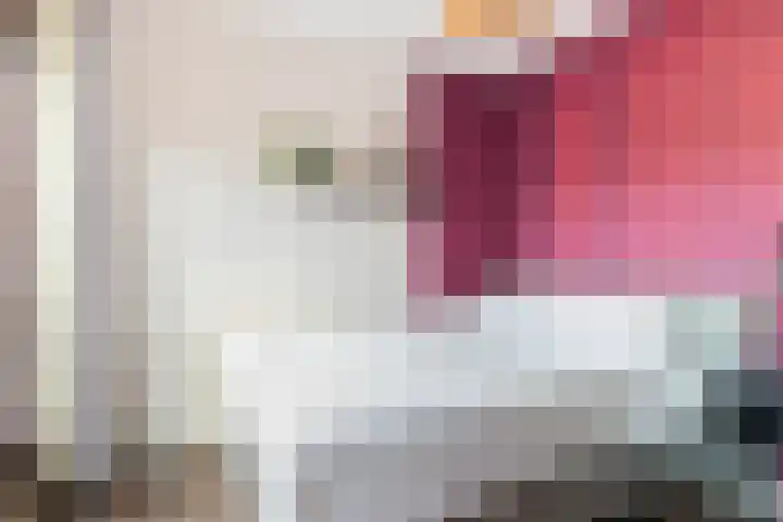 Meulmansweg 10 B Woerden thumbnail 12