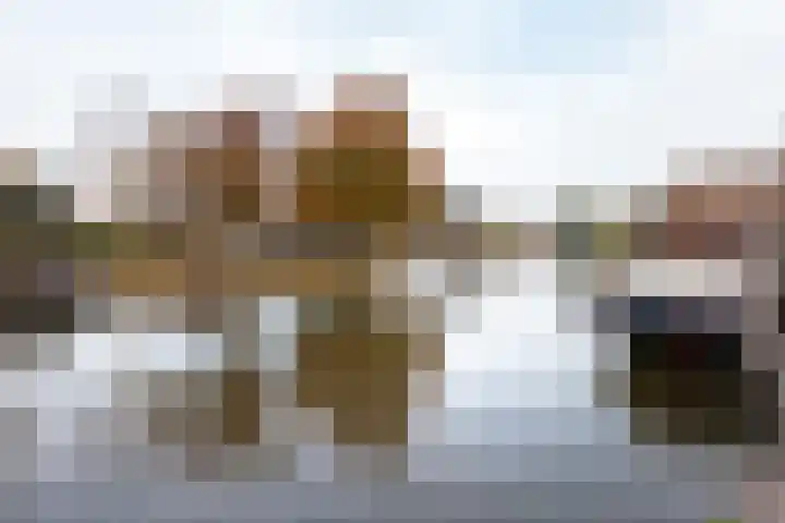 Meulmansweg 10 B Woerden thumbnail 21