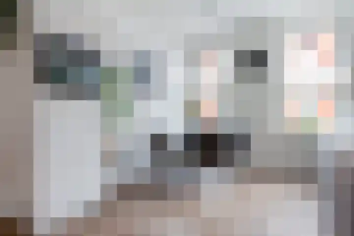 Meulmansweg 10 B Woerden thumbnail 7